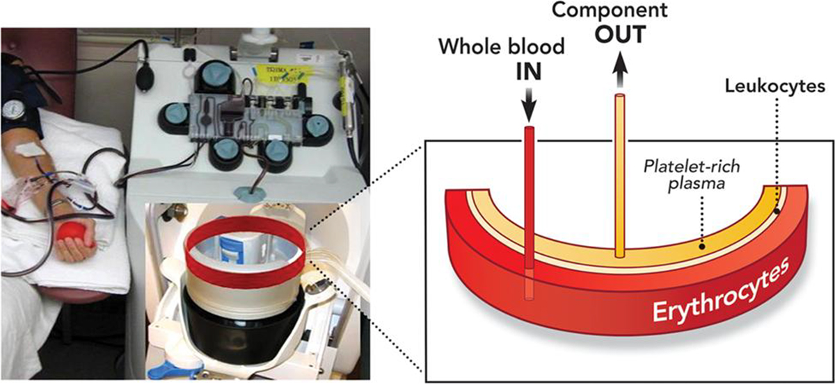 Figure 1 Refer to the following caption and surrounding text.