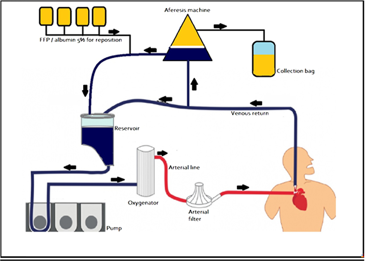 Figure 3 Refer to the following caption and surrounding text.