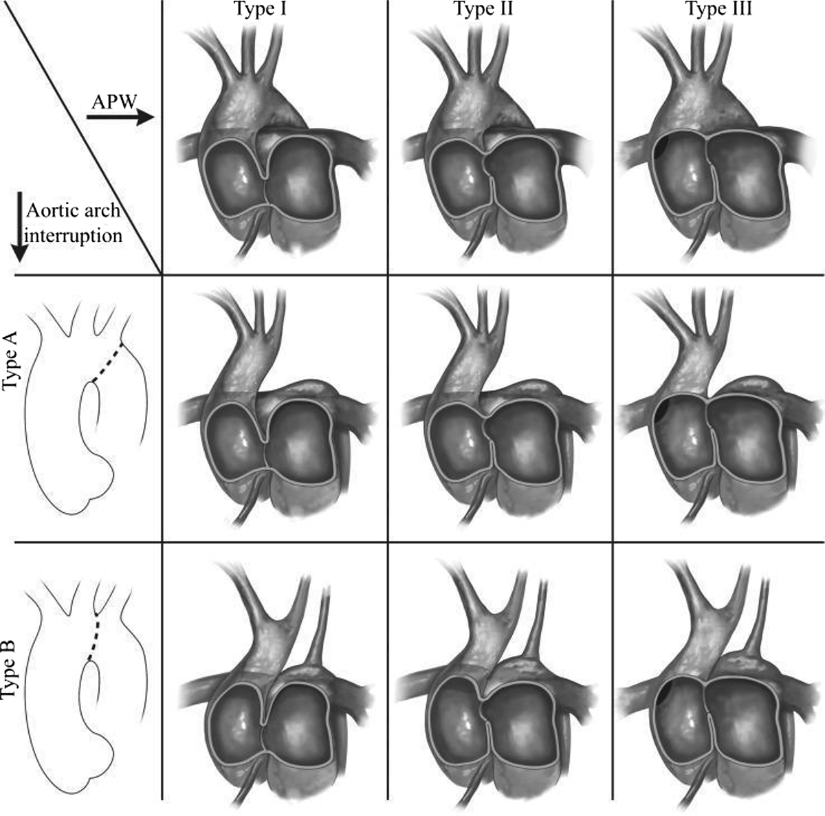 Figure 1 Refer to the following caption and surrounding text.