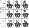 Thumbnail: Figure 1 Refer to the following caption and surrounding text.