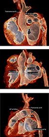Thumbnail: Figure 2 Refer to the following caption and surrounding text.