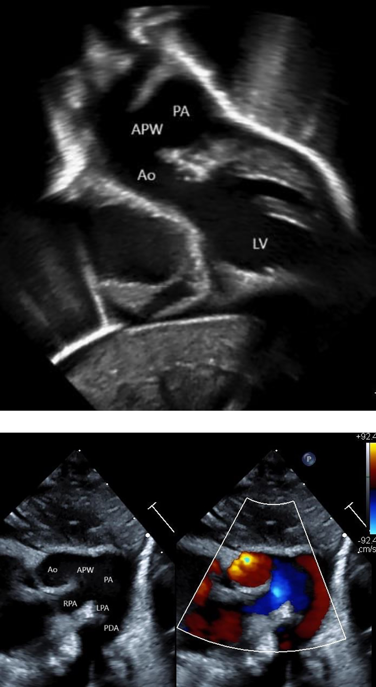 Figure 3 Refer to the following caption and surrounding text.