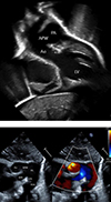 Thumbnail: Figure 3 Refer to the following caption and surrounding text.