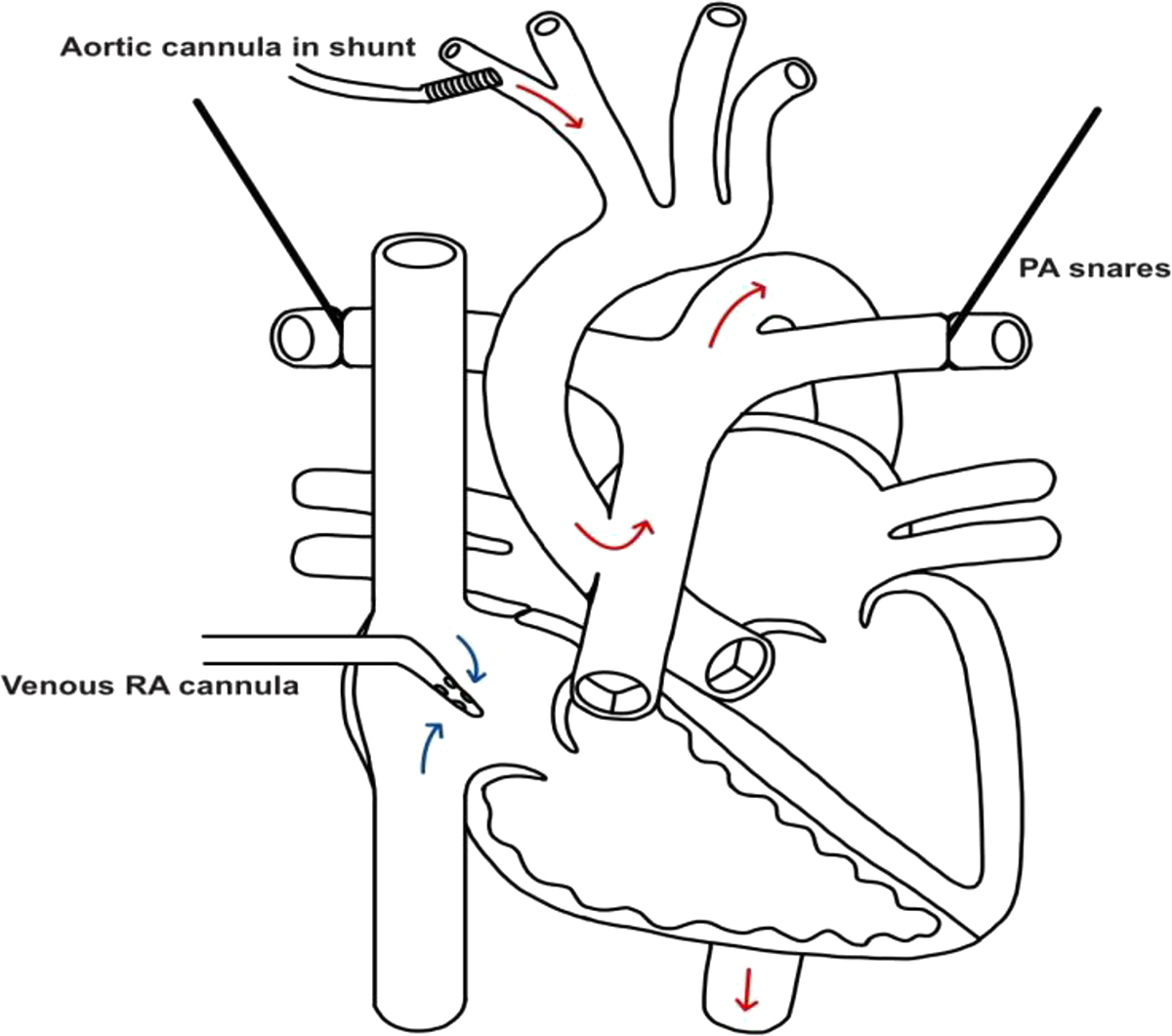Figure 4 Refer to the following caption and surrounding text.