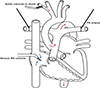 Thumbnail: Figure 4 Refer to the following caption and surrounding text.
