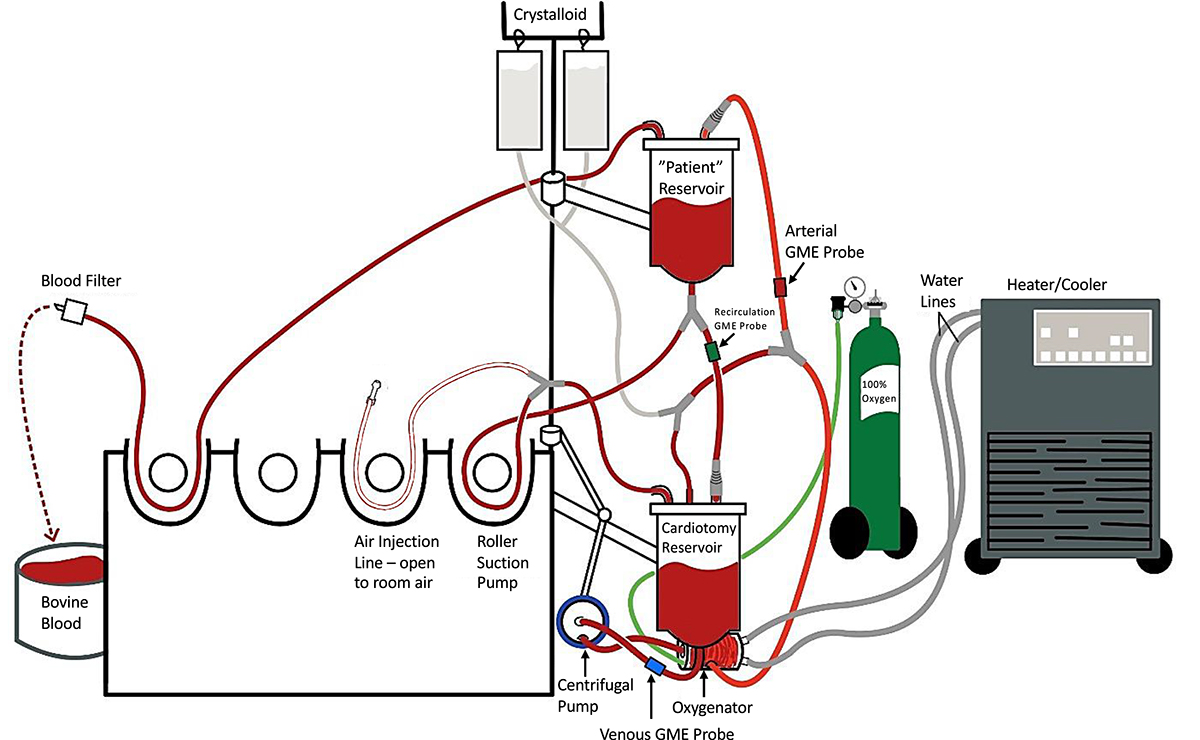 The effect of surgical field suction flow rate and venous reservoir ...