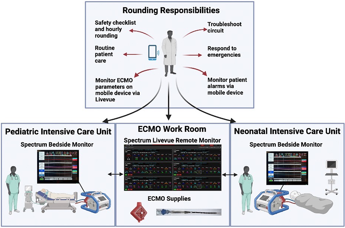 Figure 1 Refer to the following caption and surrounding text.