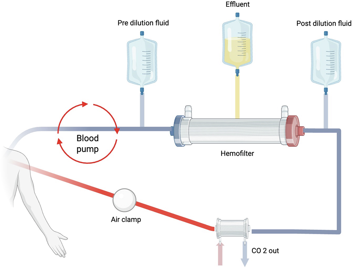 Figure 5 Refer to the following caption and surrounding text.