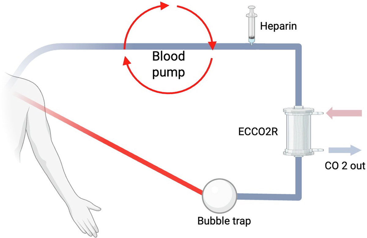 Figure 6 Refer to the following caption and surrounding text.
