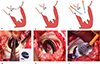 Thumbnail: Figure 1 Refer to the following caption and surrounding text.