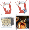 Thumbnail: Figure 2 Refer to the following caption and surrounding text.