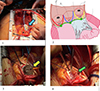 Thumbnail: Figure 4 Refer to the following caption and surrounding text.