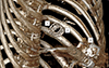 Thumbnail: Figure 5 Refer to the following caption and surrounding text.