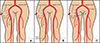 Thumbnail: Figure 1 Refer to the following caption and surrounding text.