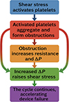 Thumbnail: Figure 1 Refer to the following caption and surrounding text.