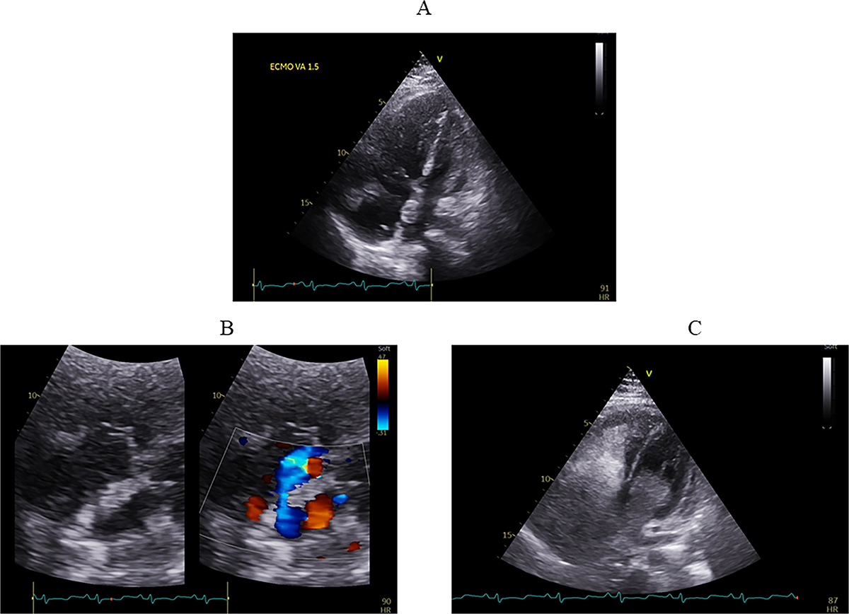 Figure 1 Refer to the following caption and surrounding text.