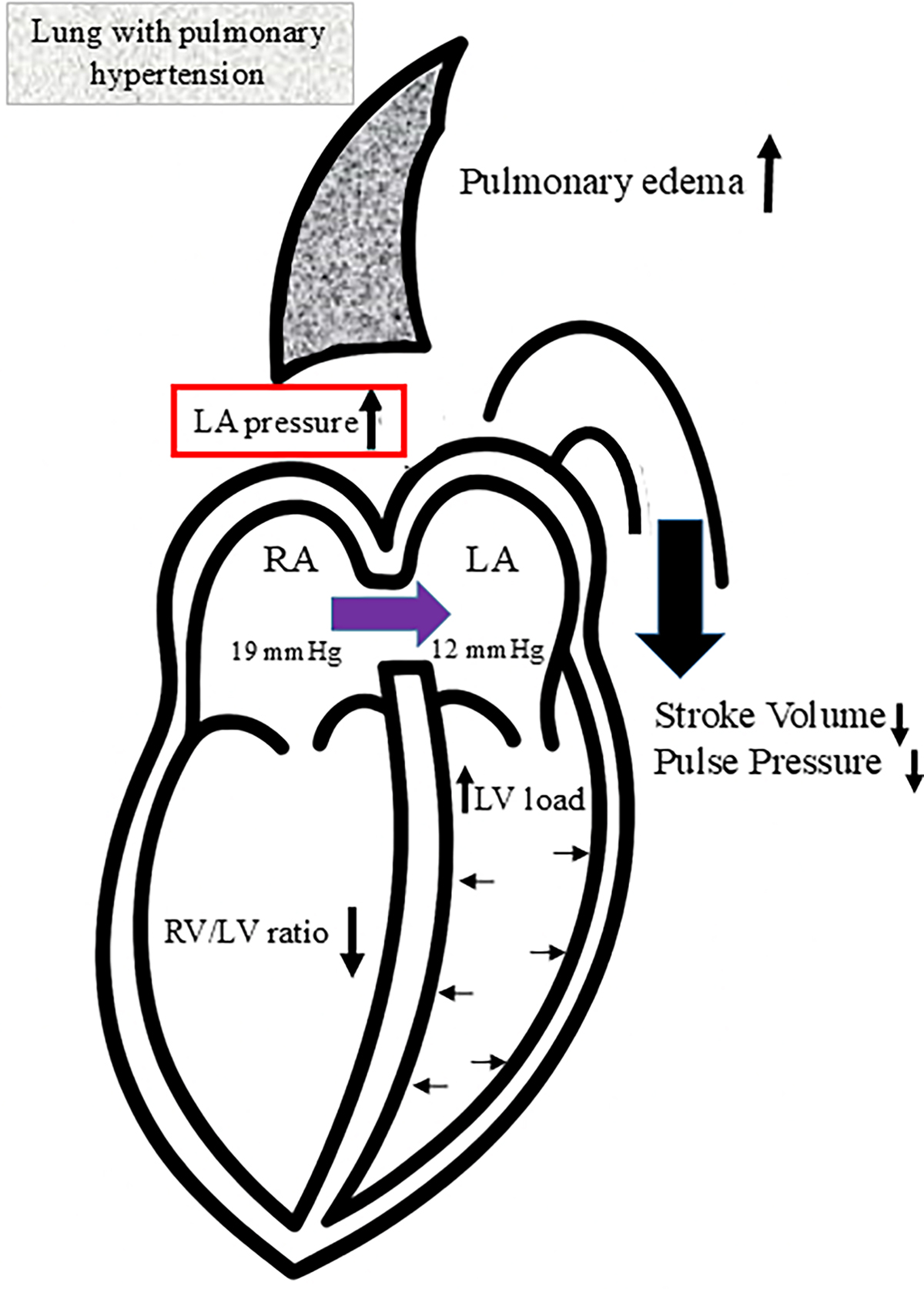 Figure 2 Refer to the following caption and surrounding text.